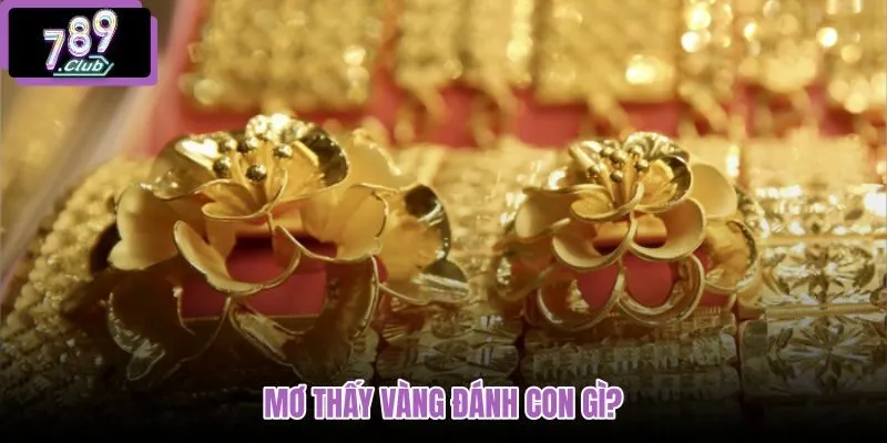 mo-thay-vang-danh-con-gi mo-thay-vang-danh-con-gi